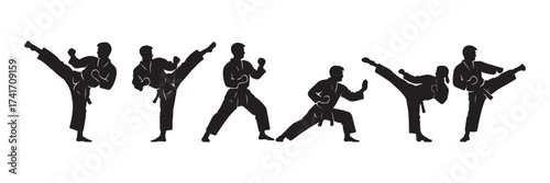 set of taekwondo silhouette vector illustration	