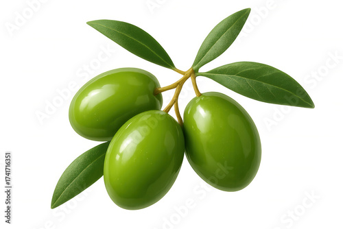 Wallpaper Mural Green olives on branch, fresh fruits for mediterranean cuisine, preparing healthy food and olive oil ingredients Torontodigital.ca