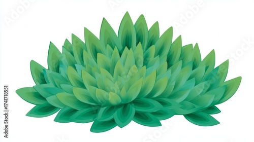 A vibrant green succulent plant with layered leaves fanning outwards, isolated on a white background.