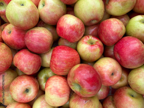 Billede på lærred A vibrant, overhead, full-frame shot of a pile of freshly picked Honeycrisp apples, displaying a mix of red blush and yellow-green skin