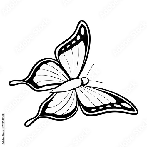 Monochrome butterfly vector illustration with decorative outline, stylized lepidoptera silhouette for tattoo or design use