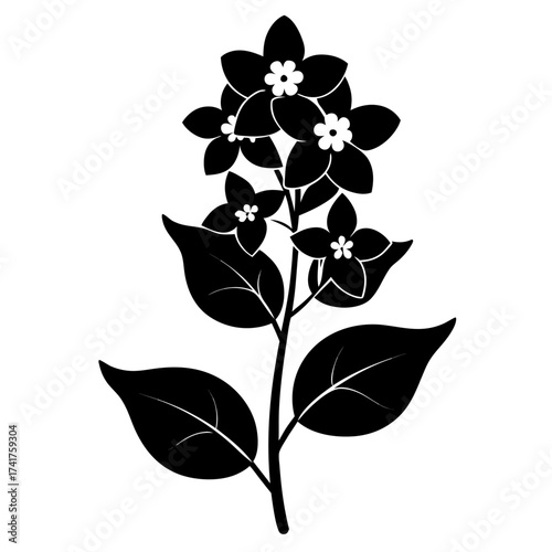 lysimachia pollen vulgaris silhouette vector on white background