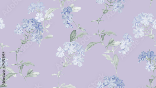 Floral seamless pattern featuring clusters of watercolor illustrations of Cape leadwort flowers and soft, grayish-green leaves on a solid purple background