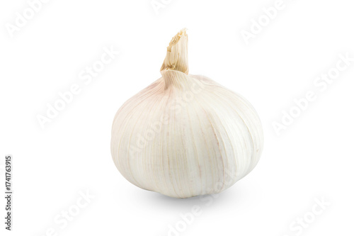 Garlic head isolated on white background.