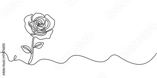 Continuous line art illustration of a rose flower, A minimalist and elegant black linear design, gracefully drawn in one unbroken line, Minimalist contour drawing of rose . Continuous line drawing.