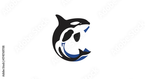 Striking orca whale logo design with a bold color palette and dynamic curved shapes offering an