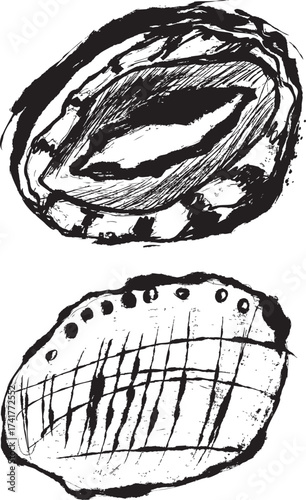 墨絵のあわび表・裏の和風挿絵イラスト素材