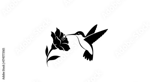Elegant Silhouette Illustration of a Hummingbird Feeding on a Flower Bloom Design