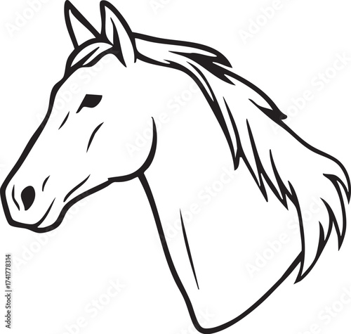 リアルな馬の顔の線画ベクターイラスト素材