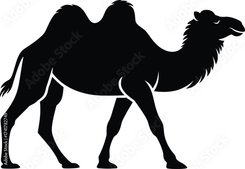 Black camel silhouette walking dromedary animal