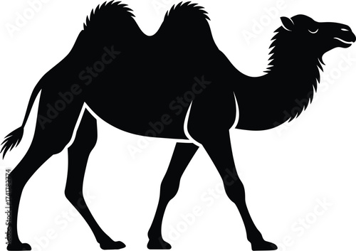 Black camel silhouette walking dromedary animal