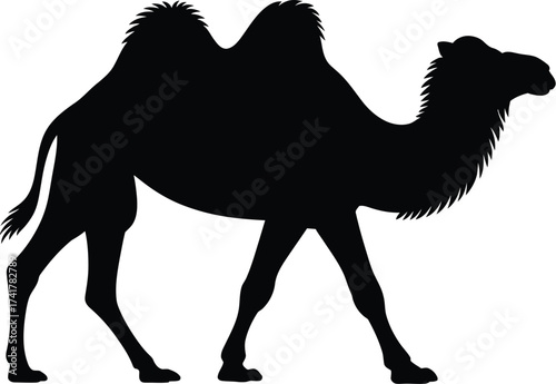 Black camel silhouette walking dromedary animal