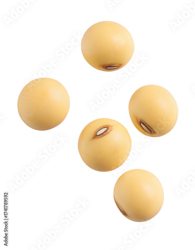 Wallpaper Mural Five textured yellow soybeans arranged in a star shape macro detail Torontodigital.ca