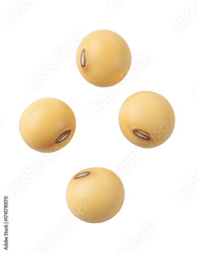 Four golden soybeans arranged in a diamond shape on a dark surface
