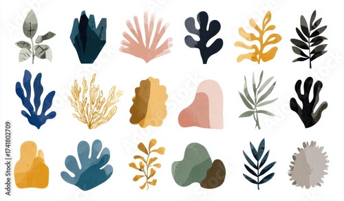 Collection of various abstract colorful botanical and leaf shapes with artistic organic forms