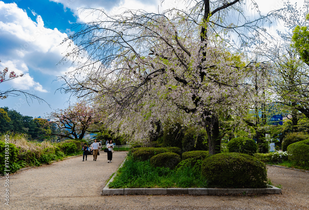 Obraz premium 東京 皇居周辺