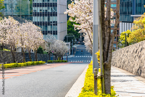 東京　皇居周辺
