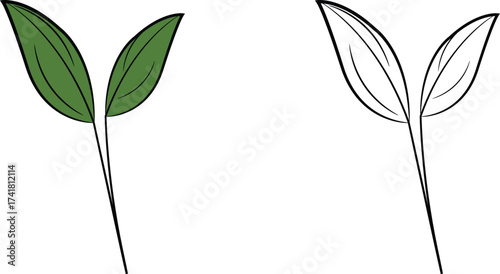 green and black line art  leaf vector flat design