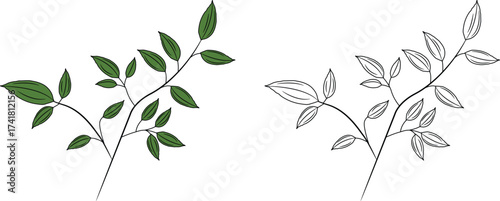 leaf vector flat design 