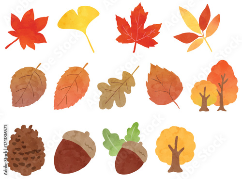 Autumn Leaves and Acorns Illustration with Colourful Foliage and Trees, Autumn items illustration