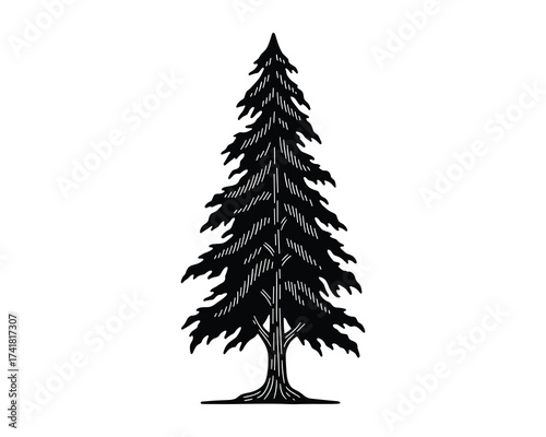 pine tree nature evergreen forest plant vector illustration