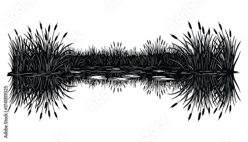 Cattails and lily pads pond vector illustration