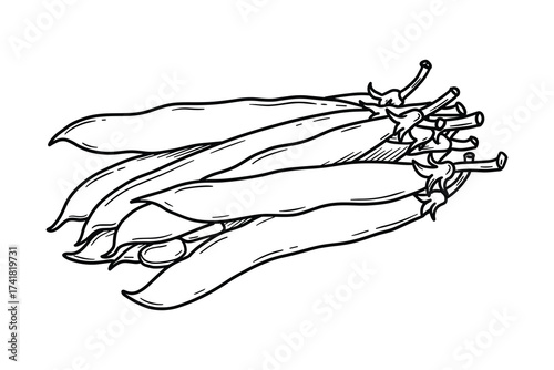 Green pea pods pile vector illustration