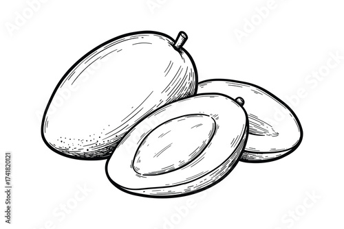 Mango whole and slices vector illustration