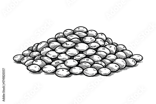 lentils pile vector illustration