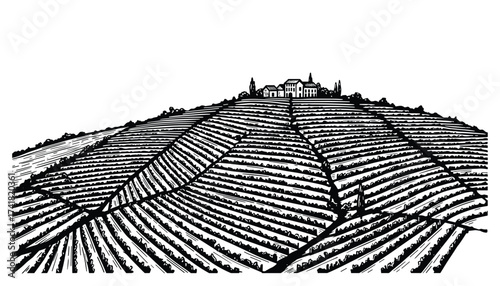 vineyard landscape with buildings vector illustration
