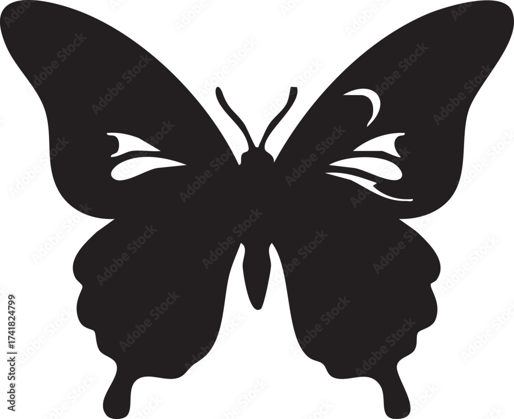 Fototapeta premium Ornate Black and White Butterfly