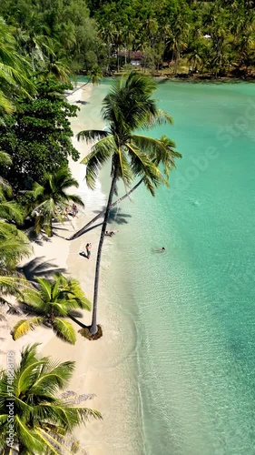 Beautiful tropical beach in Koh Kood, Thailand, featuring swaying palm trees and clear turquoise waters. Visitors enjoy the serene atmosphere and soft sands under the sun.