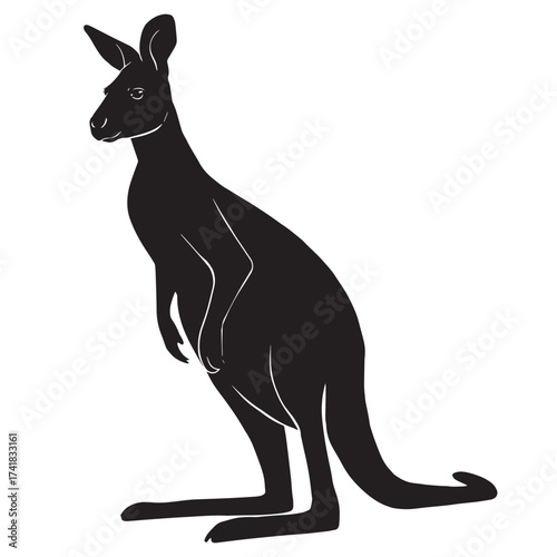 Black silhouette drawing kangaroo, vector illustration, white background