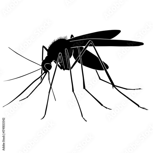 Black silhouette of an insect, vector illustration on a white background