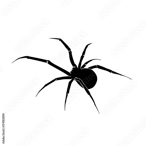 Black silhouette drawing of a spider, vector illustration, white background