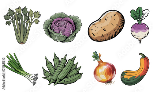 Colorful Vegetable Set Vector Illustration