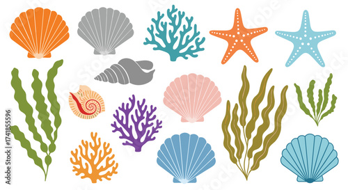 A beautiful collection of colorful seashells and aquatic plants for ocean decoration and design.