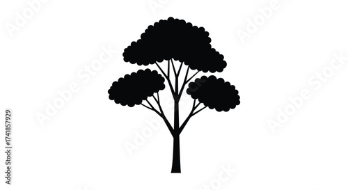 Silhouette of a mature deciduous tree with a full canopy and branching structure displayed as a solid black shape on a