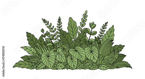 A lush collection of diverse green foliage and leafy plants forming a dense thicket.