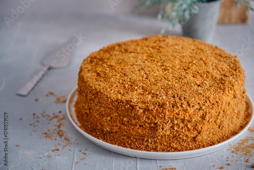Honey cake on a white plate on a gray table