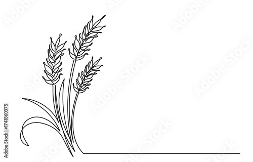 continuous line drawing of a wheat stalk.Fresh staple Bakery food concept for breakfast wheat leaf. Organic wheat bread agriculture. Grain plants and cereals, rye, barley.