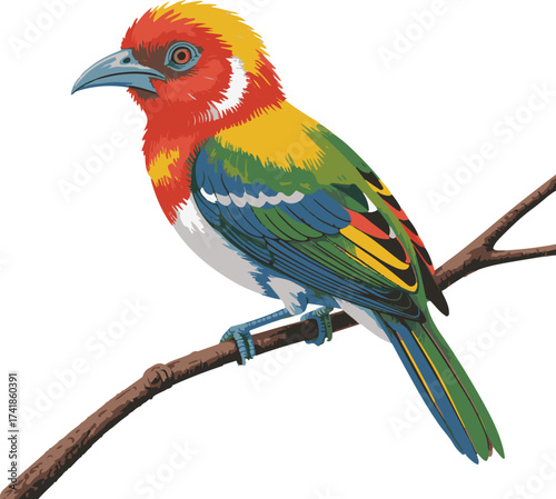 Vibrant tropical bird with colorful plumage perched on a branch amidst lush green leaves silhouette