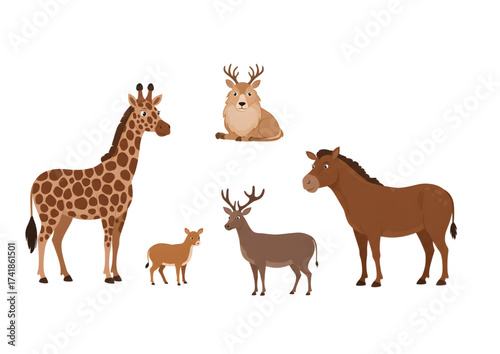 set of funny deer, giraffe