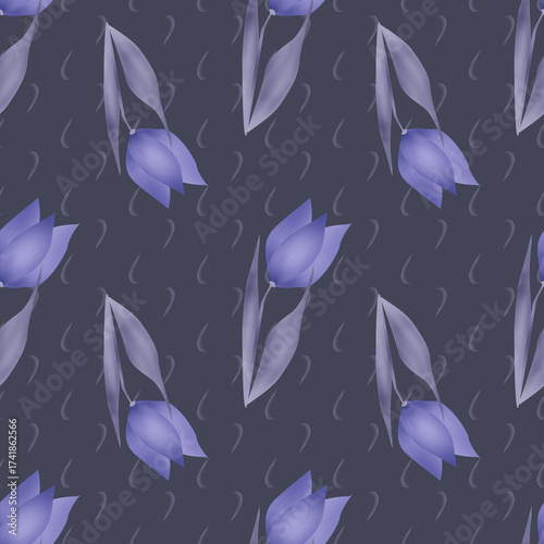 Blue flowers tulips on a gray background 
 tulip 