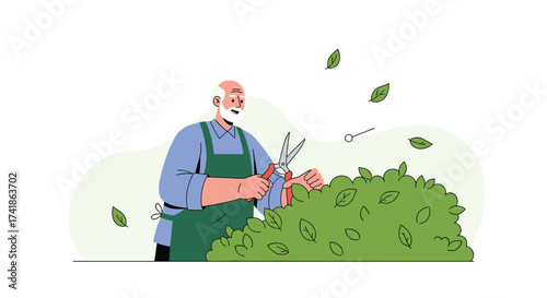 An elderly gardener meticulously trims a lush green hedge with shears.