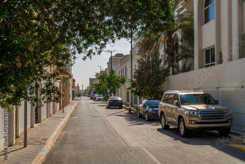 Quiet Al Najda residential lane in Abu Dhabi, United Arab Emirates, lined with parked cars, palm trees, and modern villas on a sunny day
