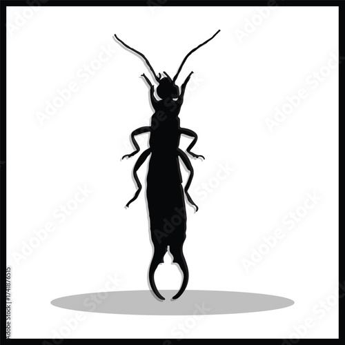 Earwig silhouette, Double Earwig set box icon, Earwig illustration, silhouette, set icon, silhouette, Earwig icon