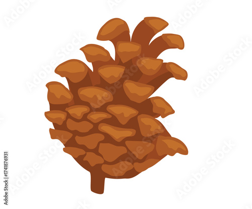 A single brown pine cone with its scales clearly defined, isolated on a white background, representing nature and autumn