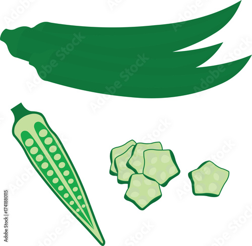 Best vector illustration of fresh green ladyfinger (okra/bhindi) in cartoon and hand-drawn styles. Perfect EPS set for healthy food, vegetarian, or culinary design projects.