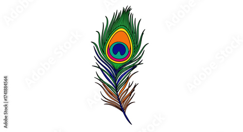Vibrant and colorful peacock feather illustration isolated on a white background.